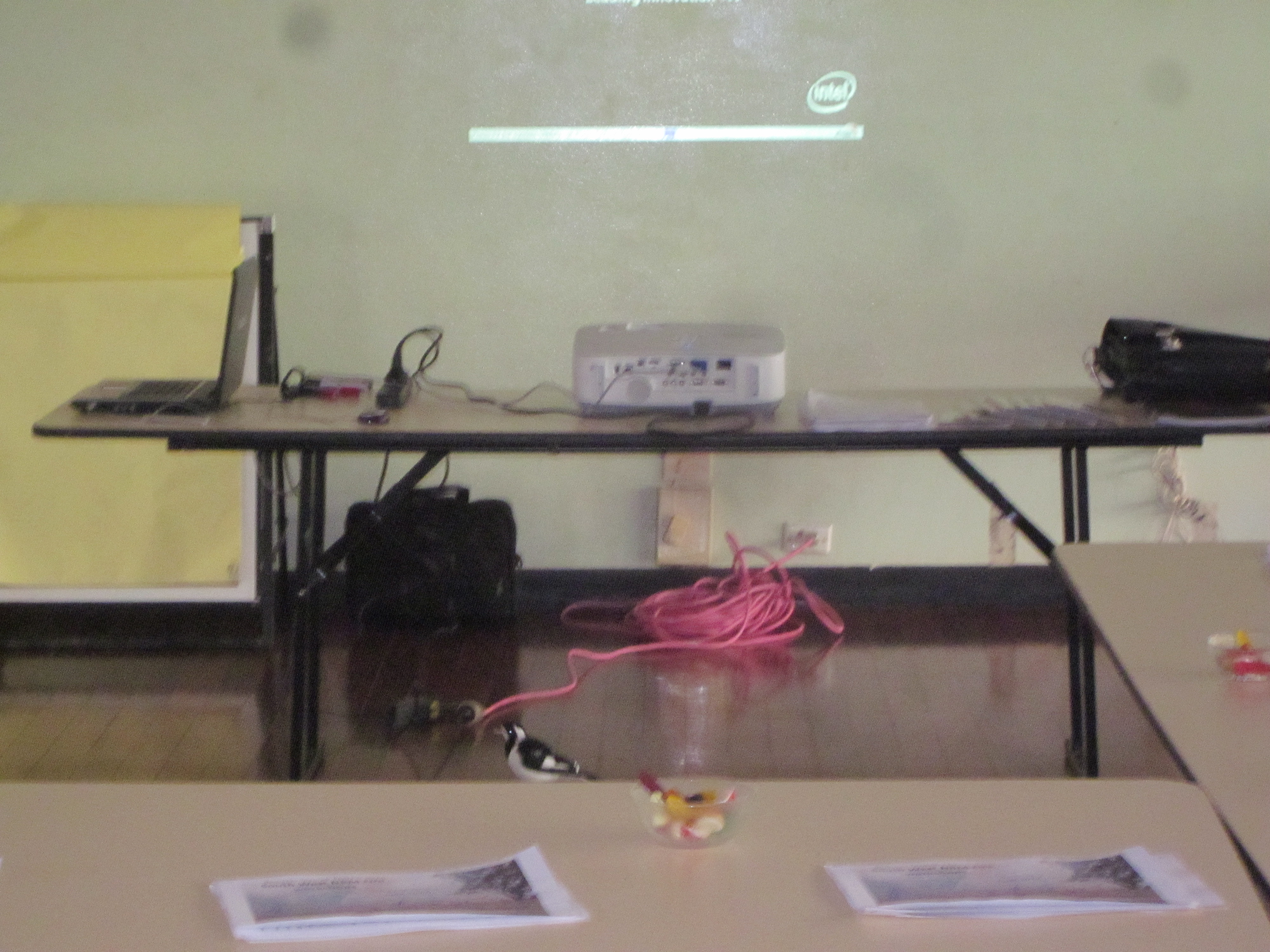 Presentation at community workshops